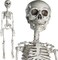 Halloween Skeleton for Halloween Décor & Day of The Dead Décor - 2.5 ft Full Size Halloween Plastic Skeleton with Movable Joints for Best Halloween Skeletons Decoration - Indoor & Outdoor